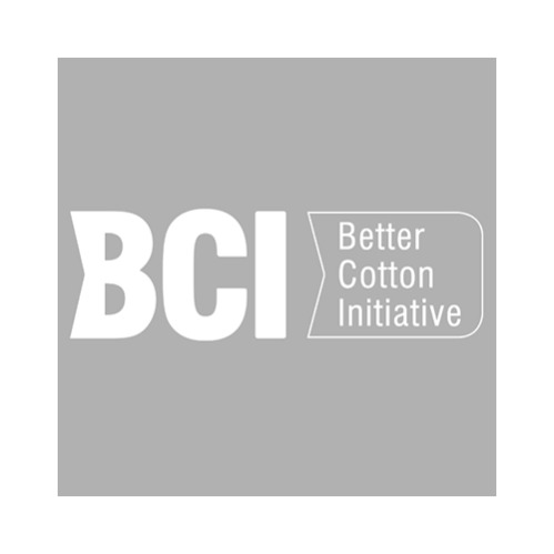 BCI Medium logo