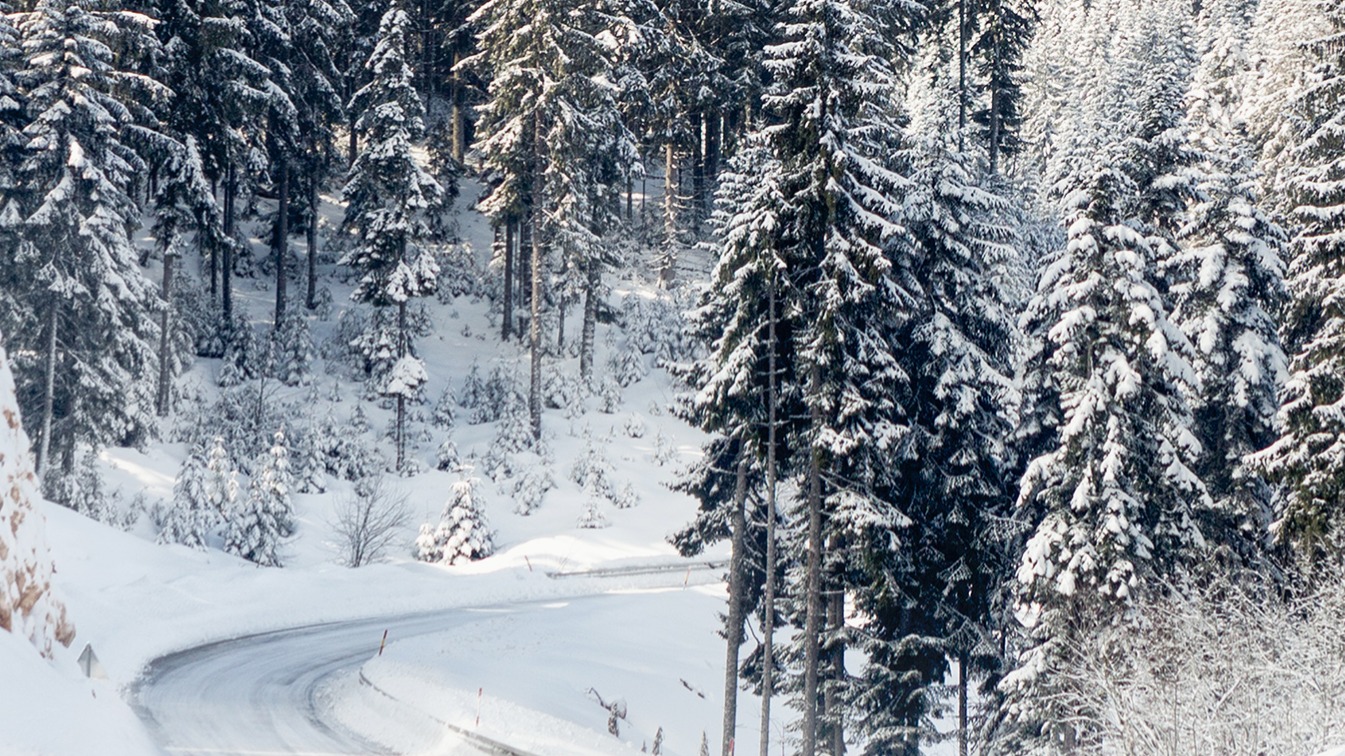 Dekbedovertrek Good Morning Snowy Road - Multi detail