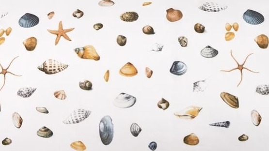 Dekbedovertrek Marjolein Bastin Shellfish - Wit details