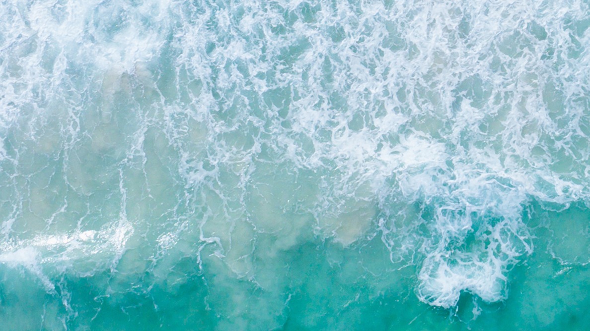 Dekbedovertrek Pure Holiday - Multi detail